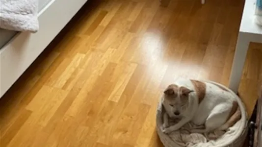 Rum i Upplands Väsby - foto 6