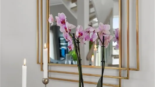 Lägenheter i Sollentuna - foto 5