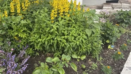 Hus i Huddinge - foto 14