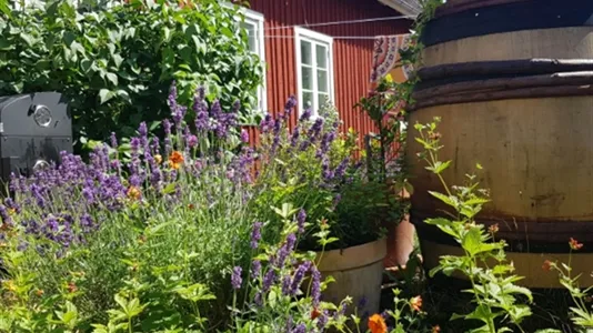 Hus i Sjöbo - foto 3