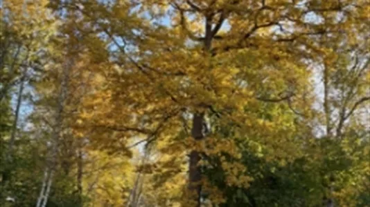 Lägenheter i Haninge - foto 2