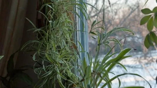 Lägenheter i Eskilstuna - foto 4