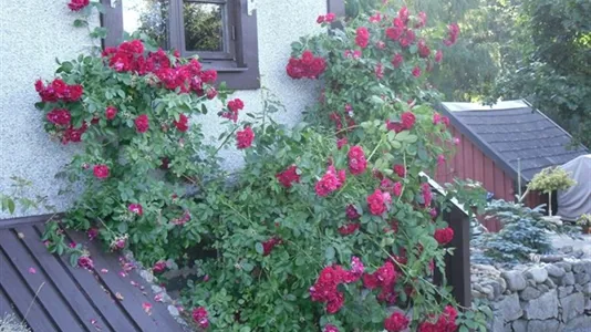 Hus i Karlshamn - foto 2