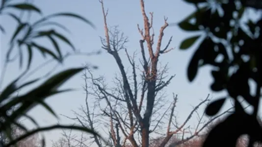 Lägenheter i Eskilstuna - foto 12