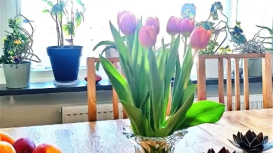 Lägenheter i Hammarbyhamnen - foto 4