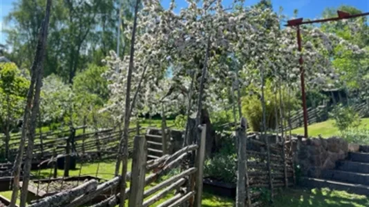 Hus i Salem - foto 4