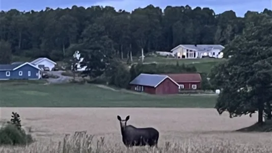 Hus i Kungsbacka - foto 12
