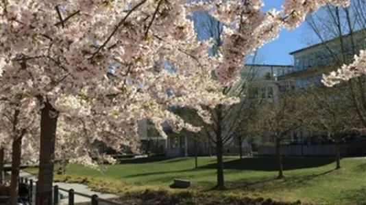 Lägenheter i Hammarbyhamnen - foto 11