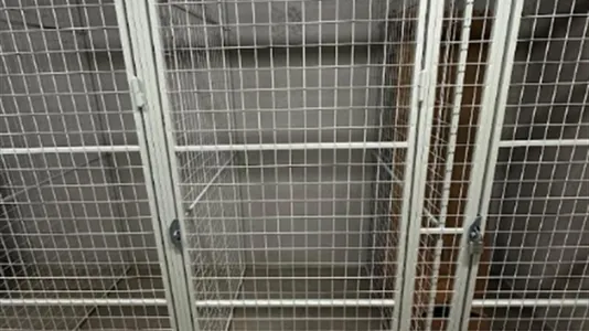 Lägenheter i Västerort - foto 14