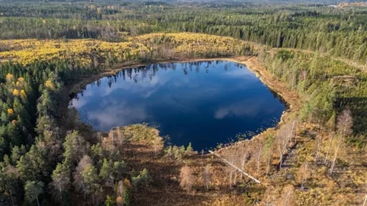 Hus i Tranemo - foto 3