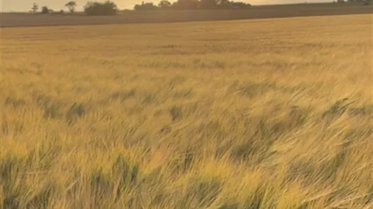 Hus i Trelleborg - foto 7