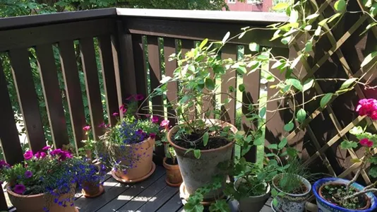 Lägenheter i Örgryte-Härlanda - foto 6