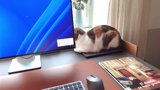 Lägenheter i Kungsholmen - foto 9