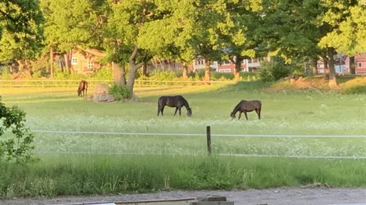 Lägenheter i Danderyd - foto 9