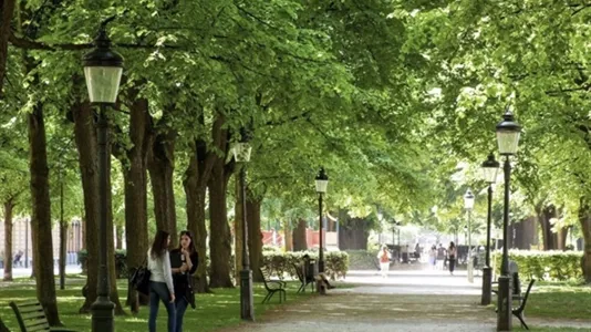 Lägenheter i Malmö Centrum - foto 15