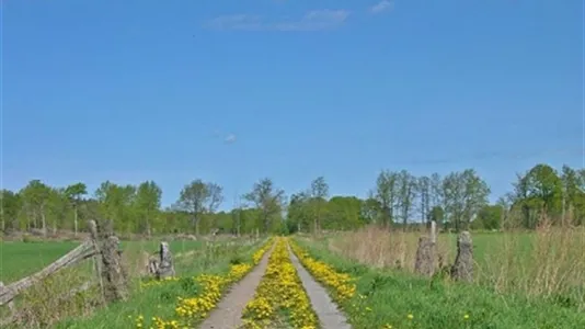 Lägenheter i Norrtälje - foto 11