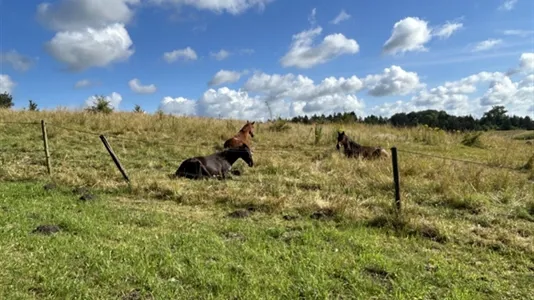 Hus i Kävlinge - foto 14