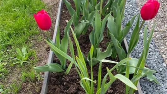 Hus i Vaggeryd - foto 9