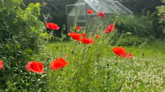 Hus i Kävlinge - foto 8