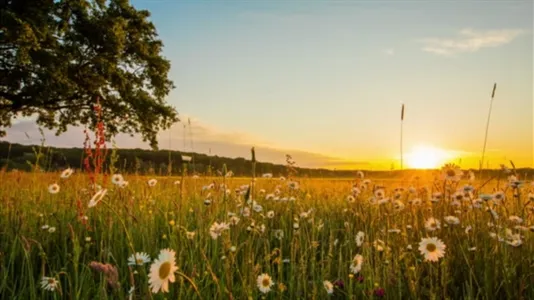 Lägenheter i Norrtälje - foto 13