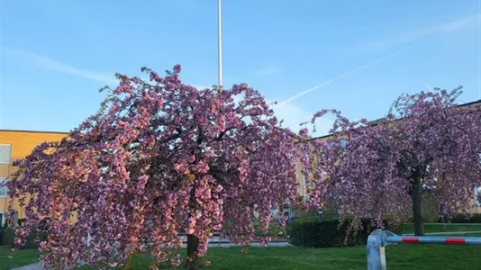 Lägenheter i Norrköping - foto 3