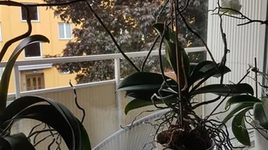 Lägenheter i Helsingborg - foto 12