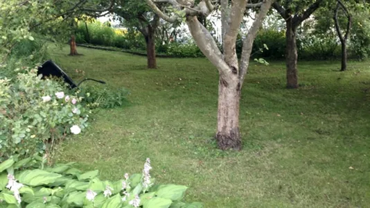 Hus i Söderort - foto 10