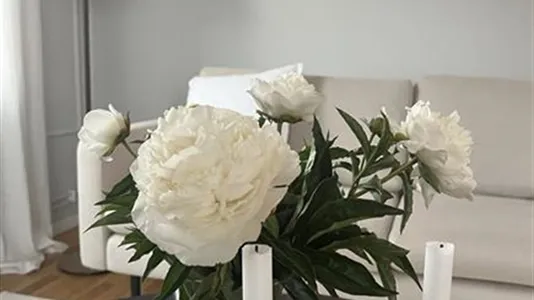 Lägenheter i Sundbyberg - foto 1