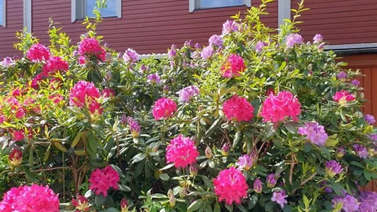 Hus i Västerort - foto 4