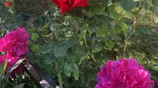 Hus i Ekerö - foto 3