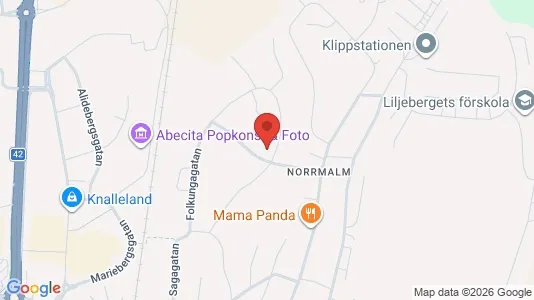 Lägenheter att hyra i Borås - kort over placeringen