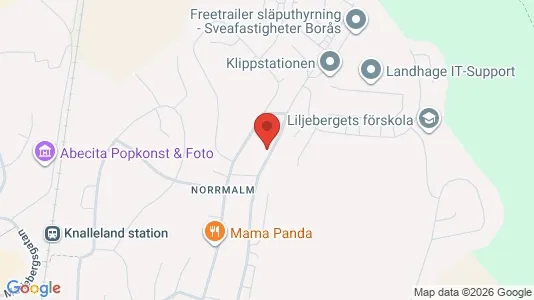 Lägenheter att hyra i Borås - kort over placeringen