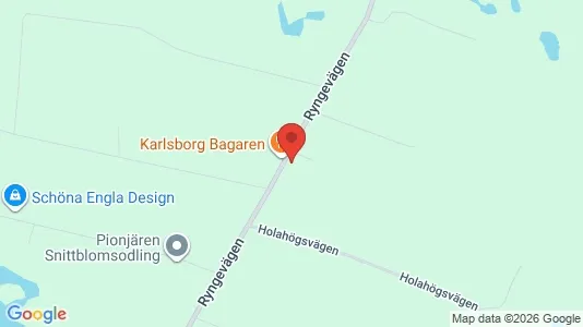 Lägenheter att hyra i Ystad - Bild från Google Street View