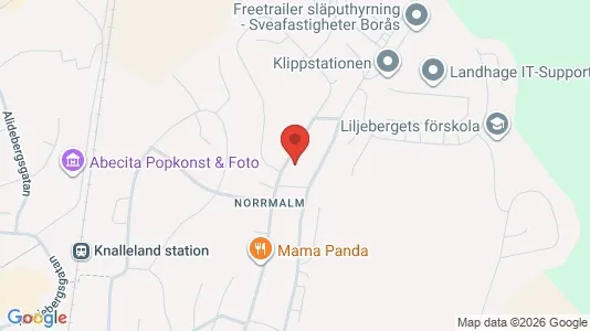 Lägenheter att hyra i Borås - kort over placeringen