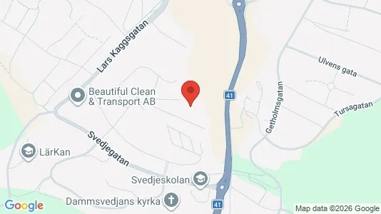 Lägenheter att hyra i Borås - kort over placeringen
