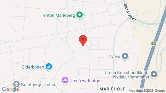 Lägenheter att hyra i Umeå - Bild från Google Street View