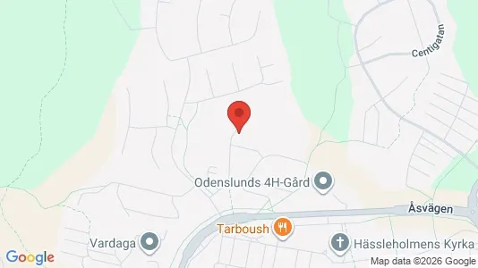 Lägenheter att hyra i Borås - kort over placeringen