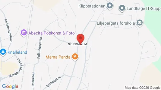 Lägenheter att hyra i Borås - kort over placeringen