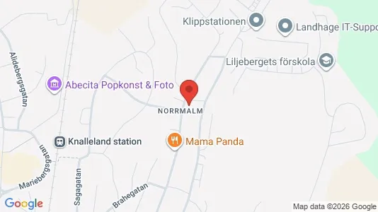 Lägenheter att hyra i Borås - kort over placeringen