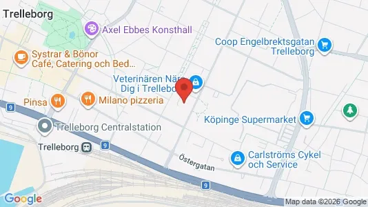 Lägenheter att hyra i Trelleborg - kort over placeringen