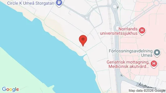 Lägenheter att hyra i Umeå - kort over placeringen