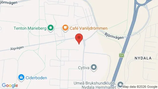 Lägenheter att hyra i Umeå - kort over placeringen